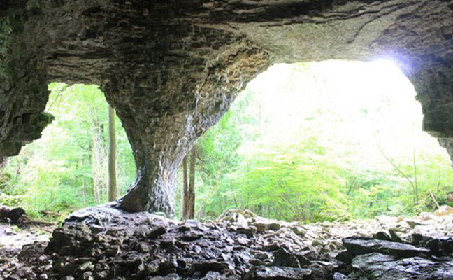 Bruce Caves